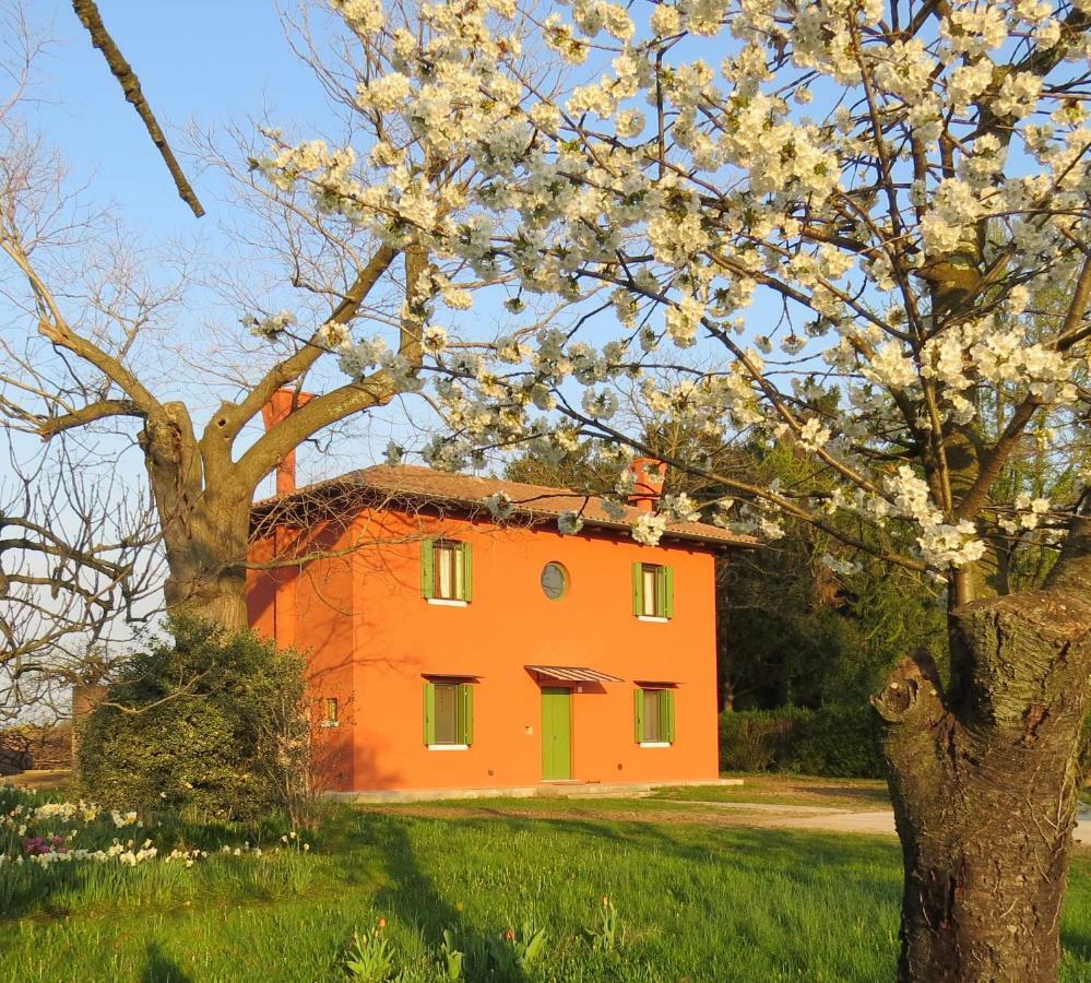 La Centuria Societa Agricola Casa Vacanze Terzo d' Aquileia Exterior photo